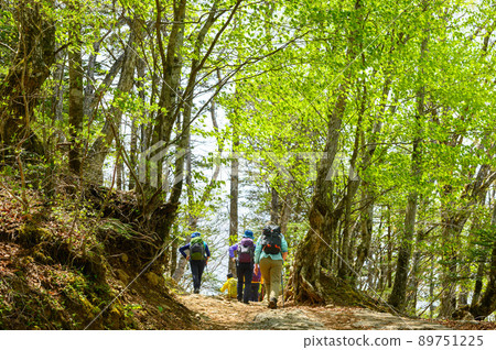沿著夏山山路行走的登山者 89751225