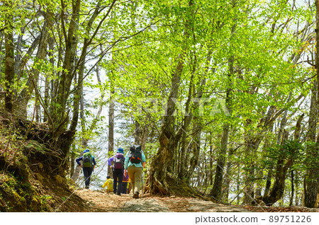 沿著夏山山路行走的登山者 89751226