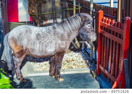 【東京街景】神田明神 89751826