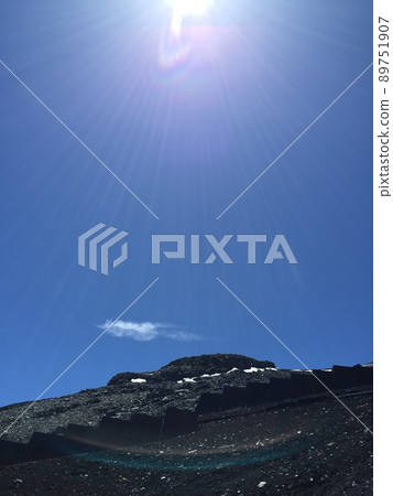 Mt. Fuji turtle rock 89751907