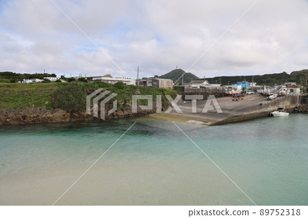 Ancestral port Ancestral port 89752318