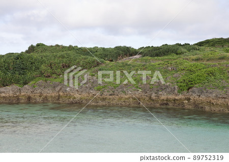 Ancestral port 89752319