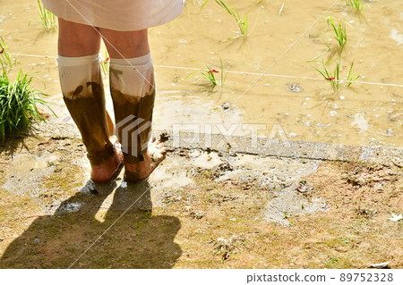 Ise Sarutahiko Shrine Mita Festival 89752328