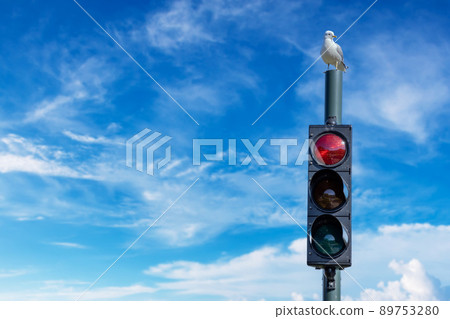 Seagull on the top of traffic light. Lofoten is an archipelago in the county of Nordland, Norway. Seagull on the top of traffic light. Lofoten is an archipelago in the county of Nordland, Norway. 89753280