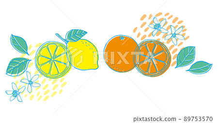 Hand-painted lemon and orange - Stock Illustration [89753570] - PIXTA
