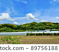 Countryside landscape vinyl house, mountains and fields 89756188