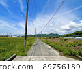 Country road and wheat field 89756189