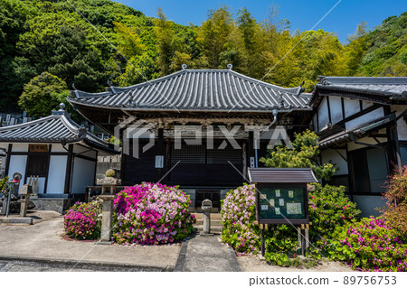 A dojo 89756753