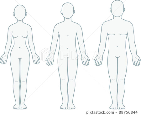 Male, female and unisex body chart 89756844