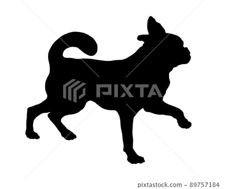 Dog silhouette. Walking petit brabancon puppy. 89757184