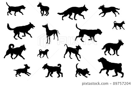 Group of dogs various breed. Black dog silhouette. Group of dogs various breed. Black dog silhouette. 89757204