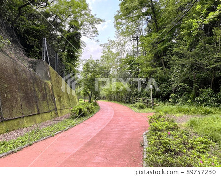 東京郊外的一條道路。多摩地區的風景。沒有電線桿的道路。 東京郊外的一條道路。多摩地區的風景。沒有電線桿的道路。 89757230