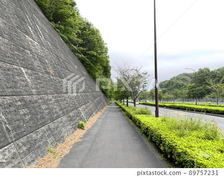 東京郊外的一條道路。多摩地區的風景。沒有電線桿的道路。 東京郊外的一條道路。多摩地區的風景。沒有電線桿的道路。 89757231