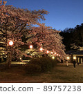 Cherry blossoms at night 89757238