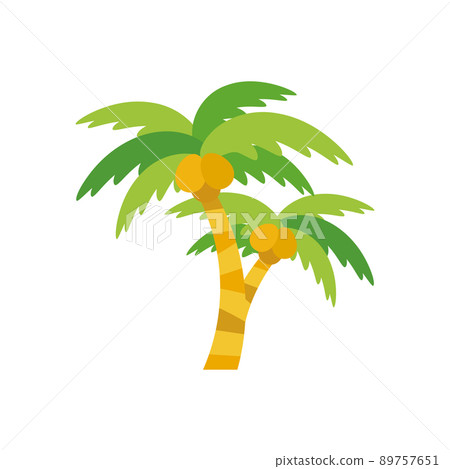 棕櫚樹02 89757651