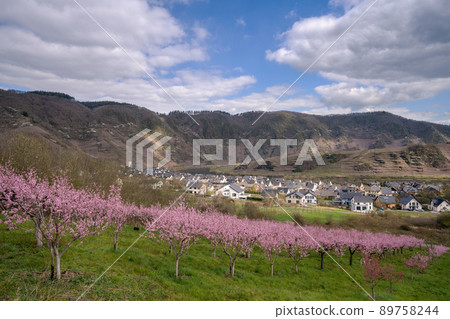 Springtime in Moselle region, Germany 89758244
