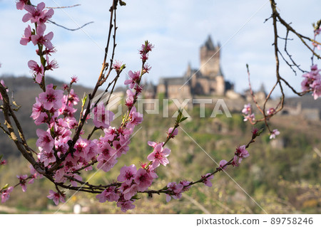 Cochem, Moselle, Germany Cochem, Moselle, Germany 89758246