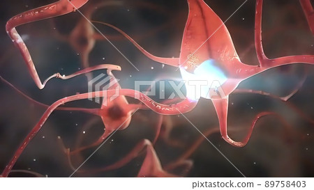 The Human Nervous System 3D medical illustration The Human Nervous System 3D medical illustration 89758403