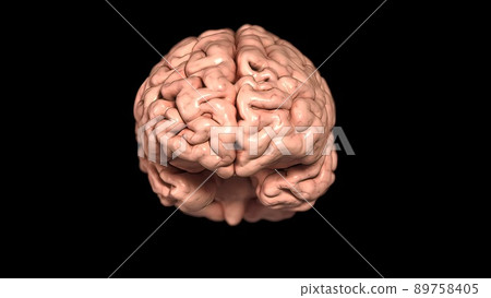 Rotating brain anatomy on black background. 3D medical illustration Rotating brain anatomy on black background. 3D medical illustration 89758405