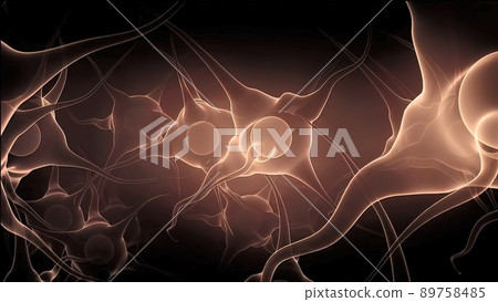 The Human Nervous System 3D medical illustration The Human Nervous System 3D medical illustration 89758485