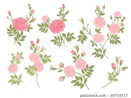 Roses flowers on branches. Millefleurs trendy floral design 89758517