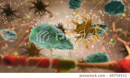 Microglia and macrophages of the central nervous system Microglia and macrophages of the central nervous system 89758552
