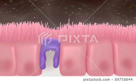 Intestinal villi with bacteria and viruses. 89758644