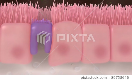 Intestinal villi with bacteria and viruses. 89758646