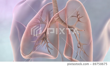 Awareness of lung cancer, pneumonia, asthma, COPD, pulmonary hypertension, world no tobacco day and eco air pollution. 89758675