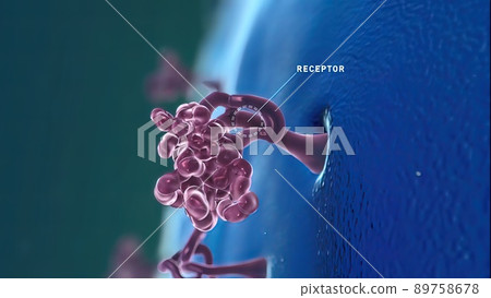 Cytokine - amino acid that allows cells to communicate with each other 89758678