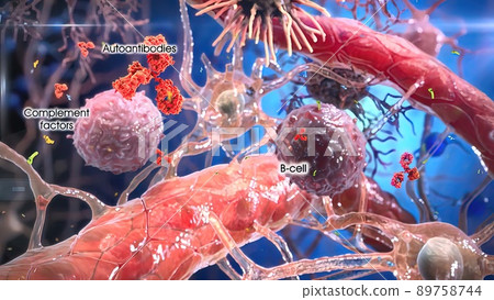 T helper cells interact on the surface of immune cells T helper cells interact on the surface of immune cells 89758744