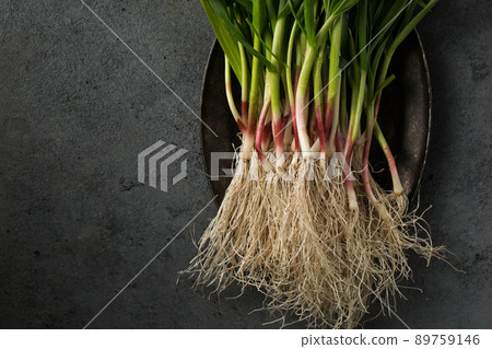 Garlic on a plate Garlic on a plate 89759146