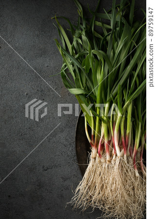 A bunch of young garlic A bunch of young garlic 89759147
