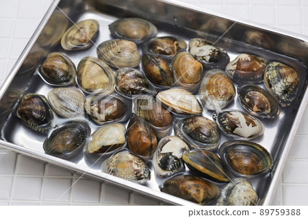 Kajishima Asari 89759388