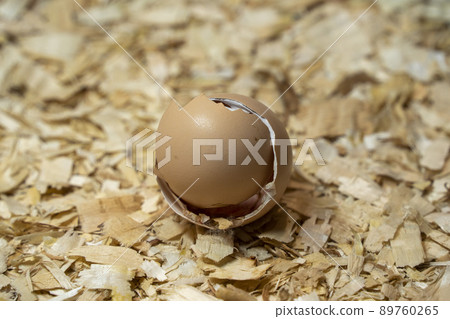 detail of Just opened egg newborn baby chicken 89760265