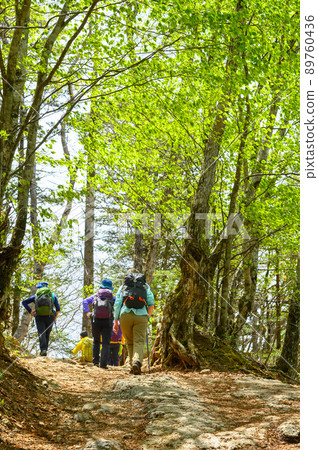 Image of mountain climbing in Natsuyama ・ Mitsutogeyama, Yamanashi Prefecture Image of mountain climbing in Natsuyama ・ Mitsutogeyama, Yamanashi Prefecture 89760436