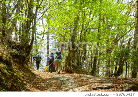 Image of mountain climbing in Natsuyama ・ Mitsutogeyama, Yamanashi Prefecture Image of mountain climbing in Natsuyama ・ Mitsutogeyama, Yamanashi Prefecture 89760437