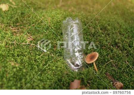 Problem of nature pollution. In moss next to mushroom there is plastic bottle thrown away by a person, littering nature. Concept of environmental protection. Harm from Non-degradable plastic products Problem of nature pollution. In moss next to mushroom there is plastic bottle thrown away by a person, littering nature. Concept of environmental protection. Harm from Non-degradable plastic products 89760756