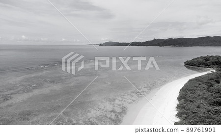 [單色] 鳥瞰石垣島米原海灘 89761901