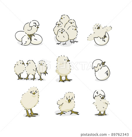 Cute chick (illustration icon) 89762343