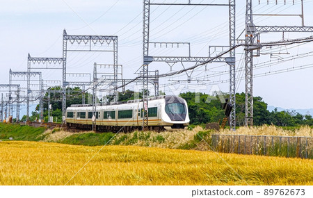 Kintetsu Limited Express Urban Liner Next 89762673