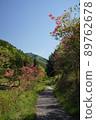 Azalea of Kurozo Marsh 1 89762678
