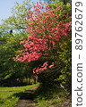 Azalea 2 in Kurozo Marsh 89762679