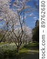 Manno Sakura 1 89762680