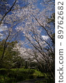 Manno Sakura 2 89762682
