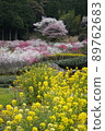 Rape blossoms and flower peaches 89762683