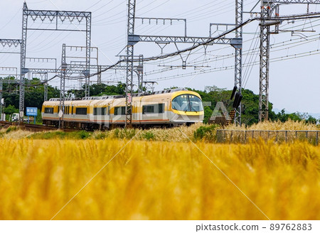 近鐵特快 Ise Shima Liner 黃色 近鐵特快 Ise Shima Liner 黃色 89762883