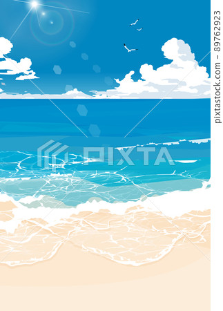 夏日沙灘和海鷗飛翔的海灘 夏日沙灘和海鷗飛翔的海灘 89762923