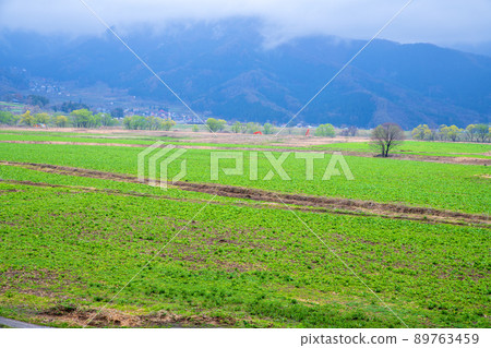 千隈川河床路站 花之站 千隈川附近的景色 早春的景色 89763459