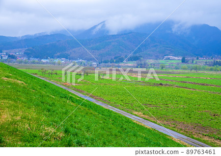 千隈川河床路站 花之站 千隈川附近的景色 早春的景色 89763461